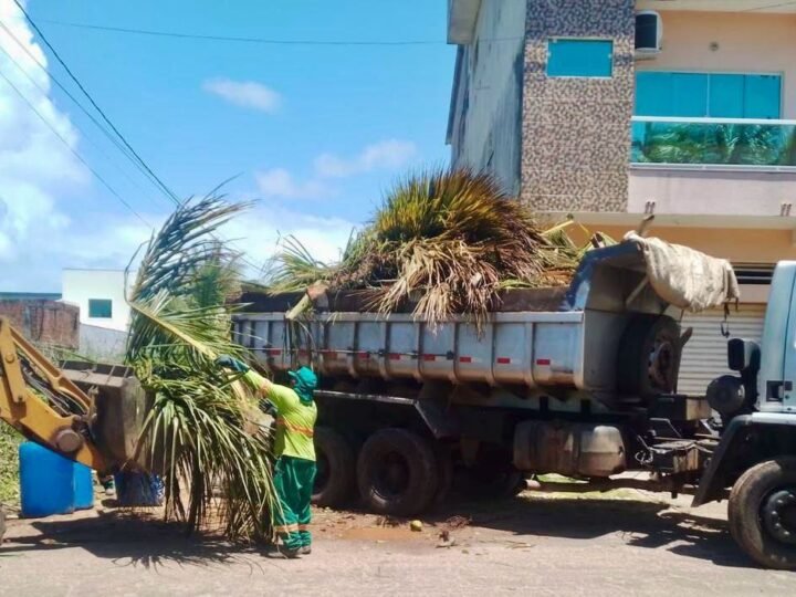 Mutirão remove 30 toneladas de lixo do distrito de Guaibim em Valença